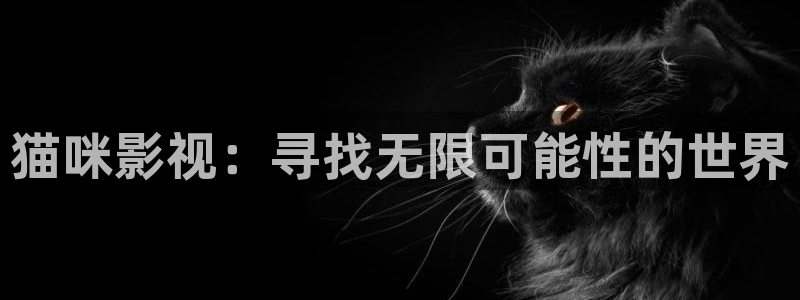 局中人在线观看免费全集西瓜：猫咪影视：寻找无限可能性的世界