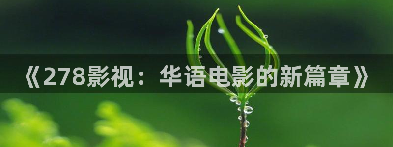 鹰潭西瓜：《278影视：华语电影的新篇章》