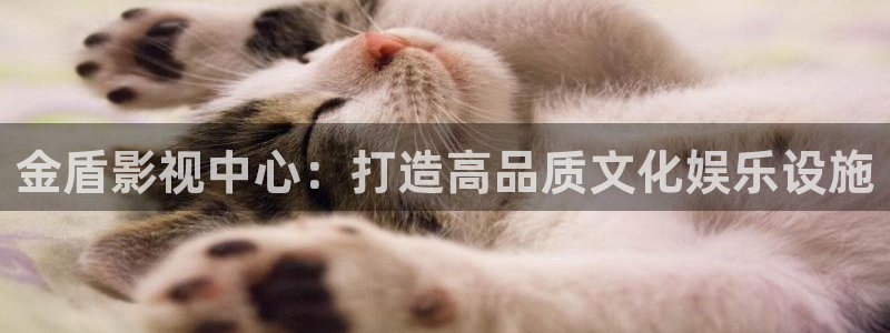 西瓜影院手机版理论片：金盾影视中心：打造高品质文化娱乐设施