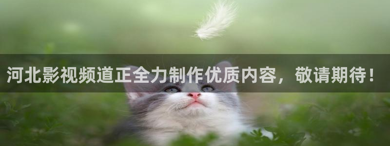 西瓜电影电视剧在线观看：河北影视频道正全力制作优质内容，敬请期待！