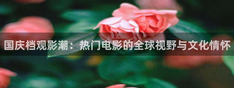 王牌对王牌免费观看西瓜：国庆档观影潮：热门电影的全球视野与文化情怀