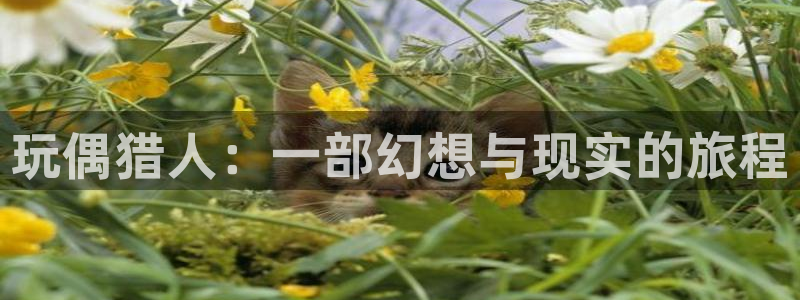 最好的我们免费观看全集西瓜：玩偶猎人：一部幻想与现实的旅程