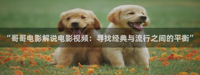 电视剧归路免费观看全集高清版西瓜影院：“哥哥电影解说电影视频：寻找经典与流行之间的平衡”