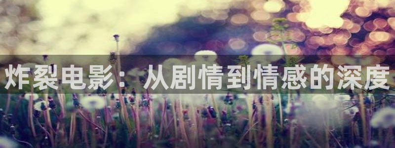 西瓜短剧影院：炸裂电影：从剧情到情感的深度
