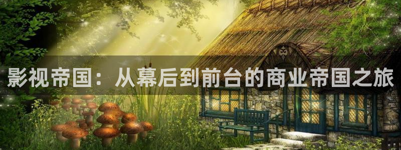 影院西瓜影院：影视帝国：从幕后到前台的商业帝国之旅