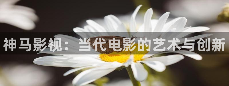 色戒西瓜影院：神马影视：当代电影的艺术与创新