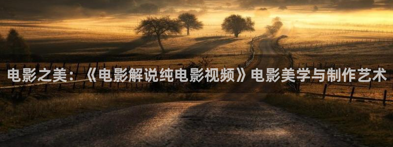 西瓜看球在线观看：电影之美：《电影解说纯电影视频》电影美学与制作艺术
