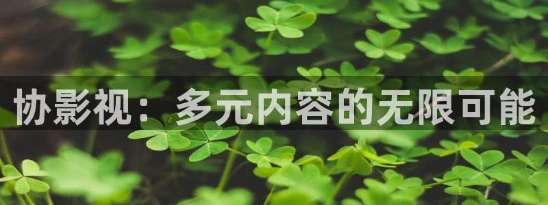 西瓜影院怎么免费看剧：协影视：多元内容的无限可能