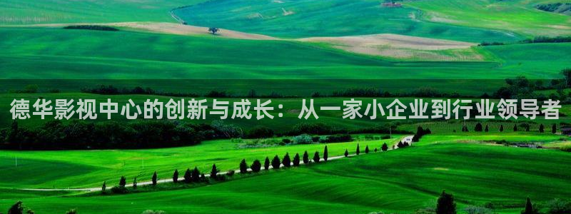 人鱼小姐国语版全集在线观看西瓜：德华影视中心的创新与成长：从一家小企业到行业领导者