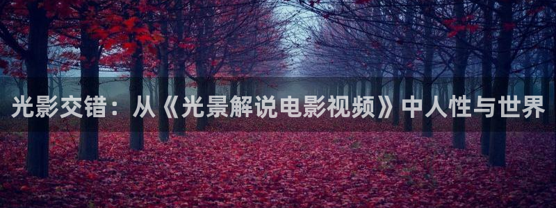 西瓜西瓜视频视频