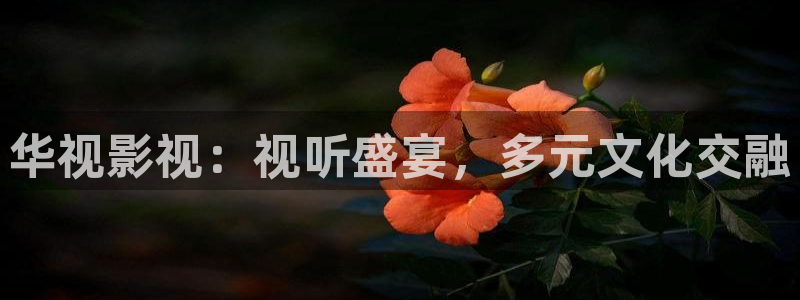 西瓜视频免费版下载安装：华视影视：视听盛宴，多元文化交融