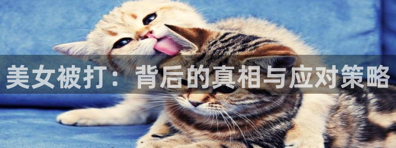 成都西瓜：美女被打：背后的真相与应对策略