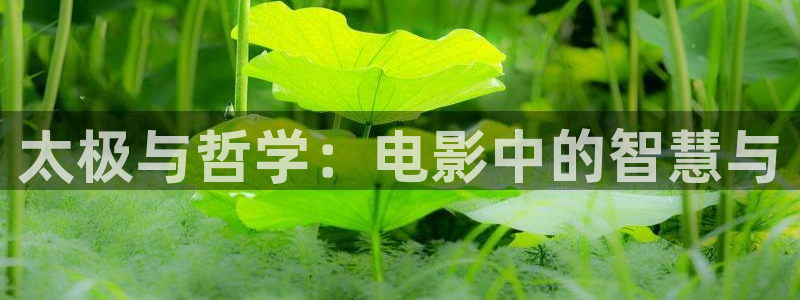 西瓜影院妈妈的朋友：太极与哲学：电影中的智慧与