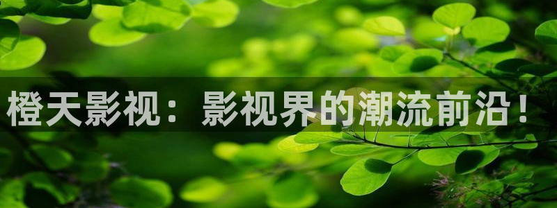 西瓜高清影院