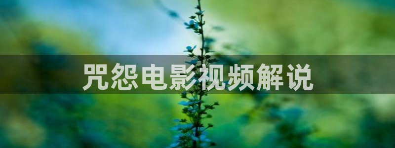 西瓜影院播放器下载