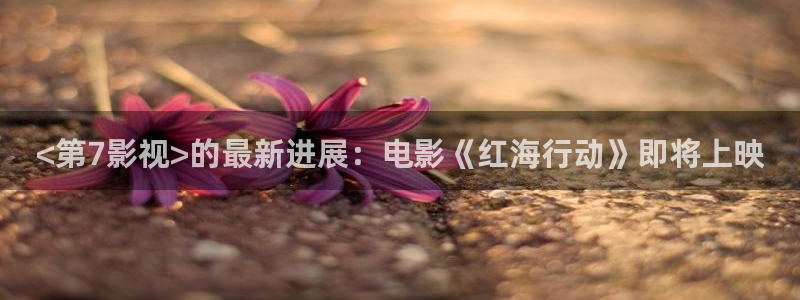 西瓜网站免费观看