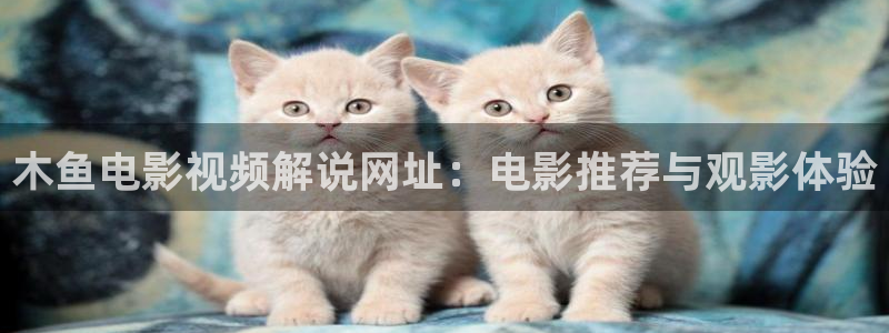 西瓜影视网免费观看