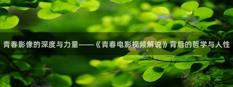 西瓜电影在线观看