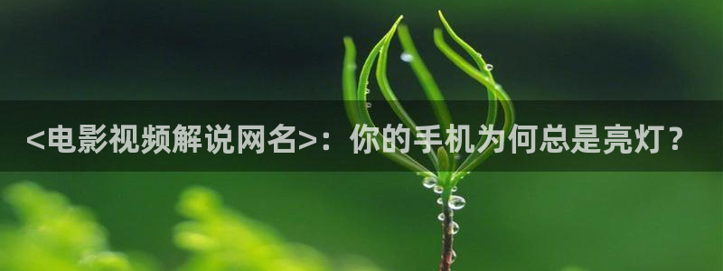全员加速中第二季免费观看西瓜
