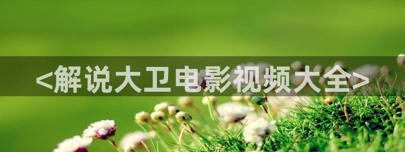 雪豹坚强岁月免费观看西瓜