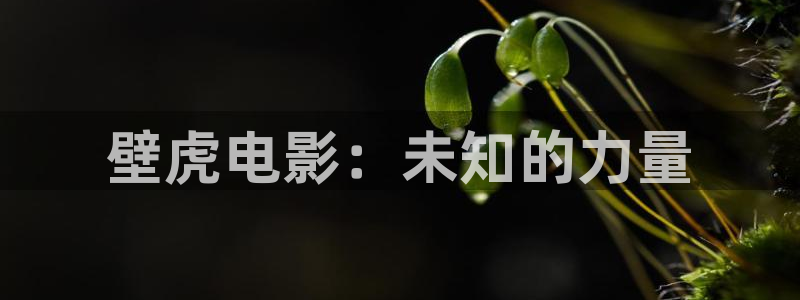 十七岁完整版在线观看西瓜