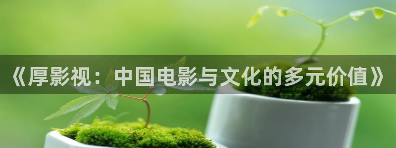 西瓜在线网