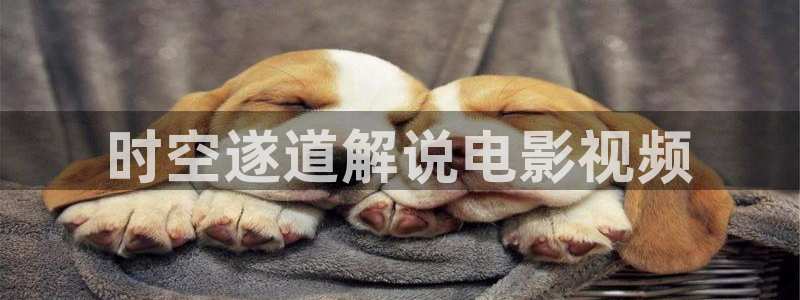 一触即发在线观看免费完整版西瓜