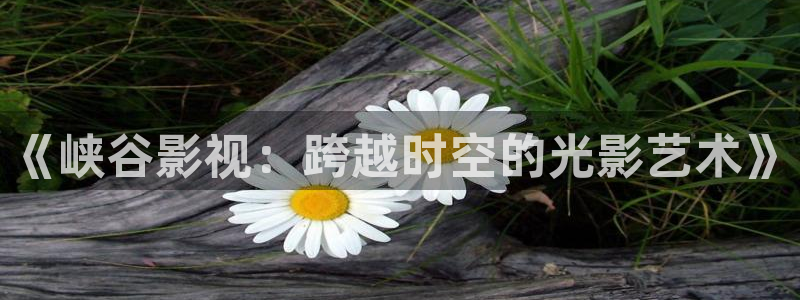 不可能完成的任务电视剧免费观看西瓜