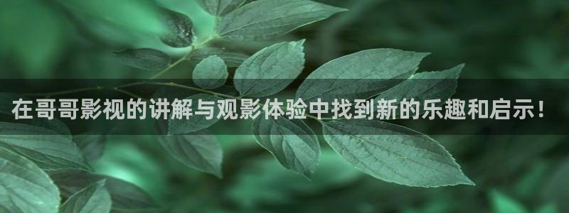 司藤在线观看完整版免费高清西瓜