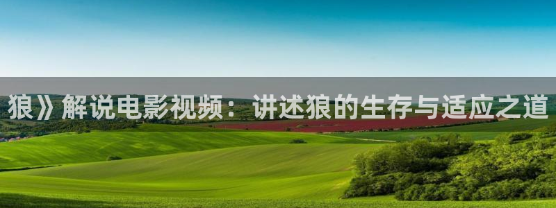 西瓜电影大全免费
