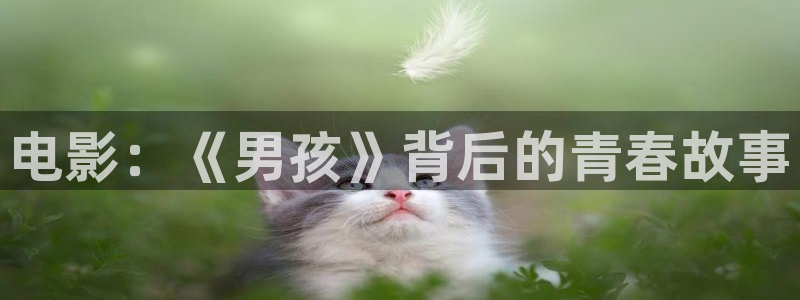 w两个世界免费观看西瓜