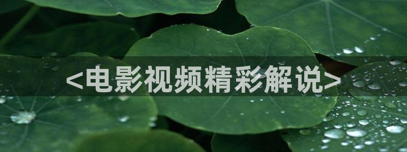 红色电视剧免费播放西瓜影院