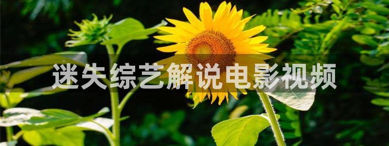 少年白马醉春风西瓜影院免费观看