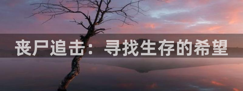 奋斗在线观看免费西瓜
