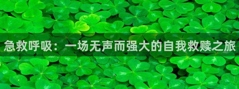 母语电视剧全集免费观看西瓜：急救呼吸：一场无声而强大的自我救赎之旅