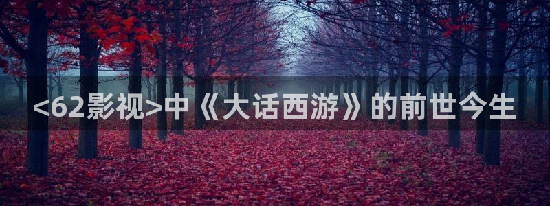 西瓜影院日本
