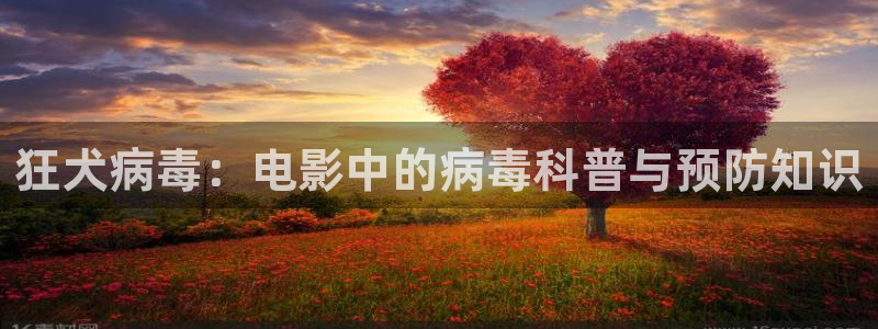 我们的2018在线观看免费西瓜