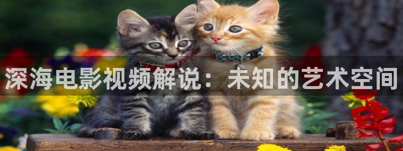 西瓜影院在线观看电影