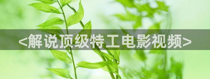 西瓜频道