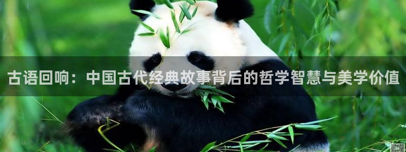 西瓜电影免费版完整版：古语回响：中国古代经典故事背后的哲学智慧与美学价值