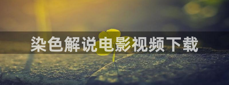雁回时在线观看西瓜影院：染色解说电影视频下载