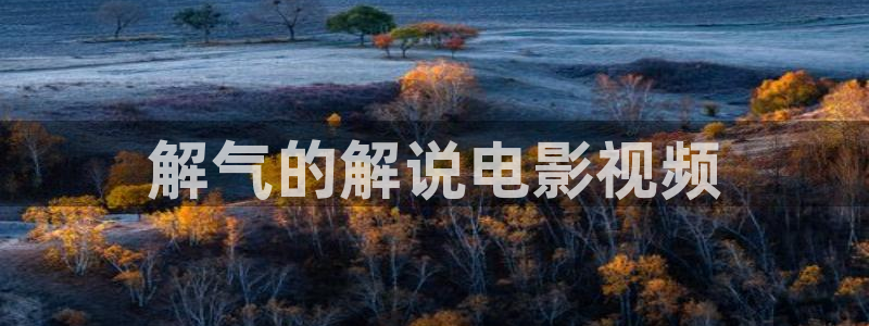 爱丫爱丫免费观看电视剧西瓜影院：解气的解说电影视频