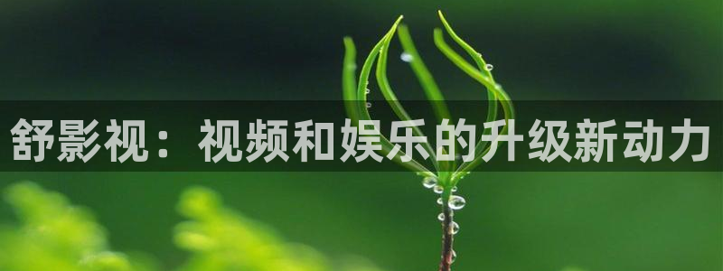 西瓜高清在线观看免费：舒影视：视频和娱乐的升级新动力